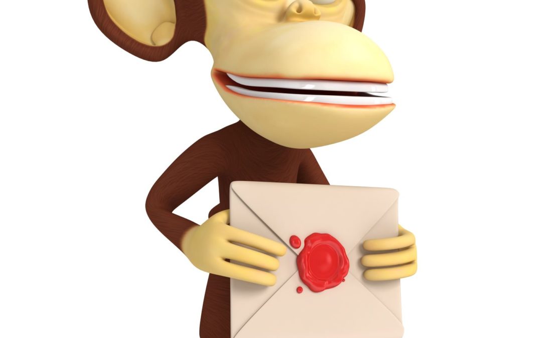 MailChimp for Real Estate -How to Connect MailChimp to Your Real Estate Investor Website